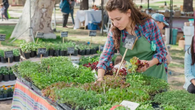 Mendoza será sede del Primer Foro Agroindustrial Pyme