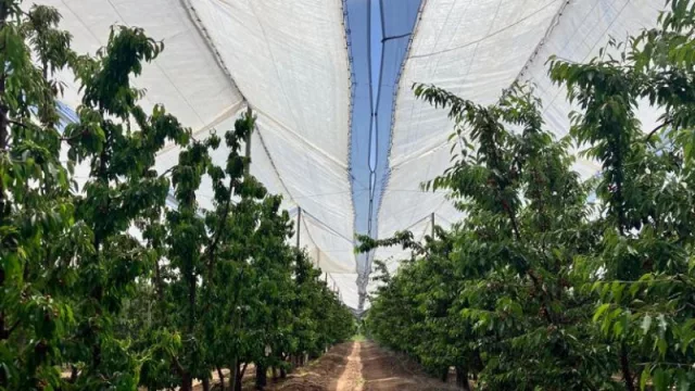 Inéditas líneas de crédito destinadas al sector productivo de la provincia