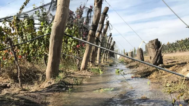 Bioaggil te invita a una nueva conferencia de su ciclo “Charlas Cumbres”