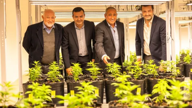 El primer cultivo de cannabis indoor a gran escala está en Mendoza