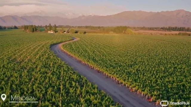 Turismo virtual: los viñedos mendocinos en el Fortnite (recreado por StadioPlus)