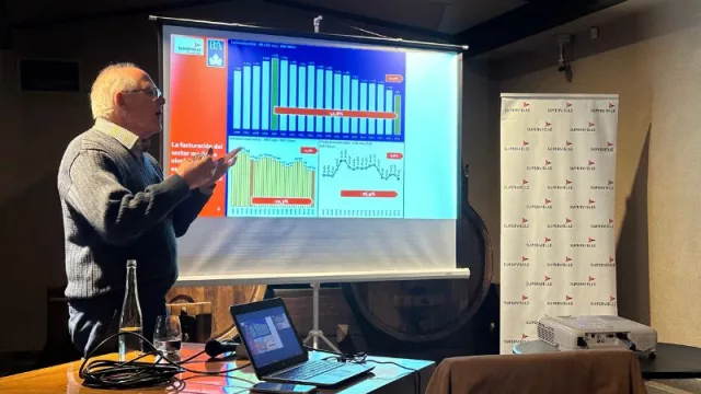 El complejo camino de la vitivinicultura argentina en los mercados internacionales: la oportunidad de cambio ante la crisis