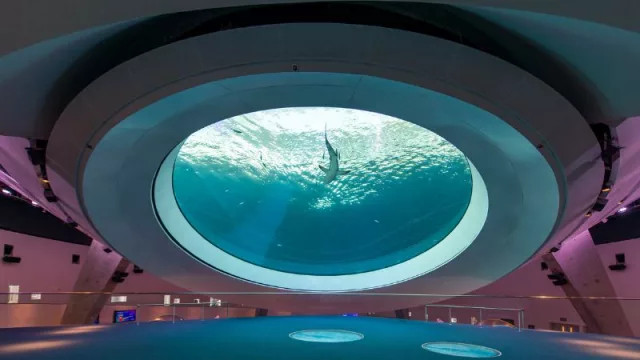 Frost Science: el museo que innova y educa desde 2017 en Miami (un paseo imperdible para toda la familia)