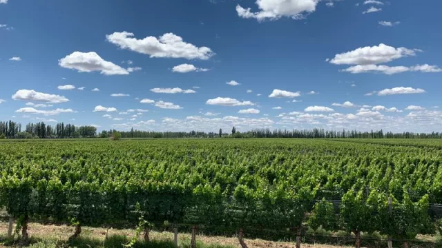 Mendoza lidera el mercado inmobiliario rural