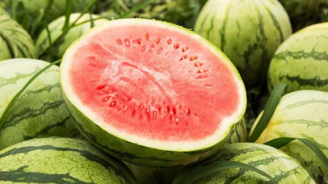 Mercadona prevé comprar este año un 38% más de sandía de origen nacional (Andalucía, Castilla-La Mancha, Murcia, Canarias, Comunidad Valenciana y Cataluña)