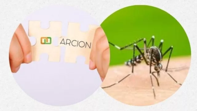 Arción D: Innovación tecnológica para la vigilancia del Dengue en Mendoza