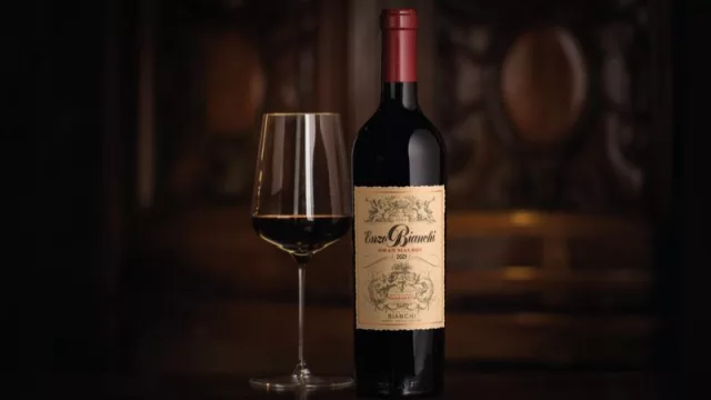 Reconocimiento internacional para Enzo Bianchi Gran Malbec 2021 (un ícono entre los mejores malbec del mundo)