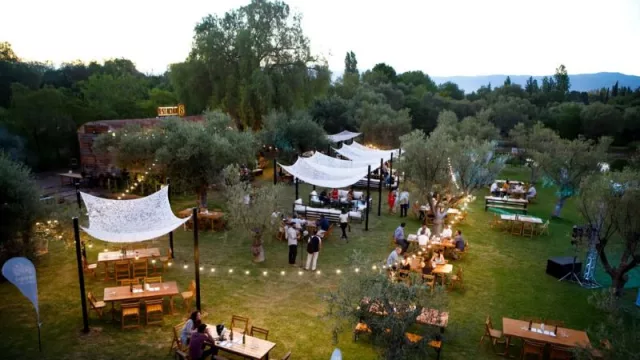 Bodega Trapiche brilla en la escena internacional con premio en Best of Mendoza's Wine Tourism