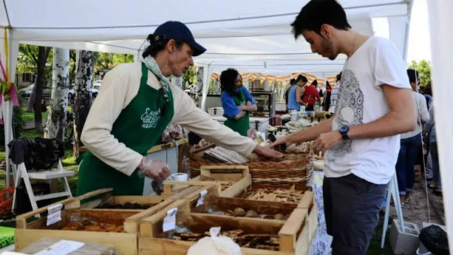La industria pyme cayó 8,7% interanual en el último mes