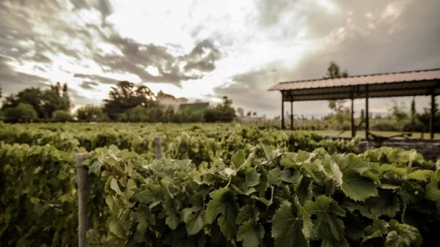 Casa Vigil y Abrasados entre los mejores restaurantes del mundo