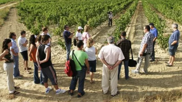 La innovación: el eje de la Conferencia Internacional de Enoturismo 2024