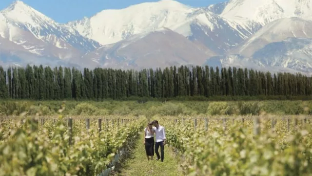Dos eventos nacionales pondrán a Mendoza como el centro del turismo del vino y la gastronomía