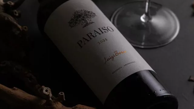 Paraíso 2021: identidad y elegancia en un vino que mira al futuro