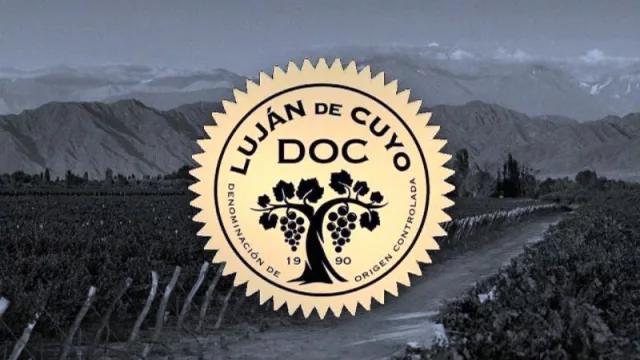 Con una alta adhesión de bodegas, la D.O.C. Luján de Cuyo presentó avances en sus estudios de investigación