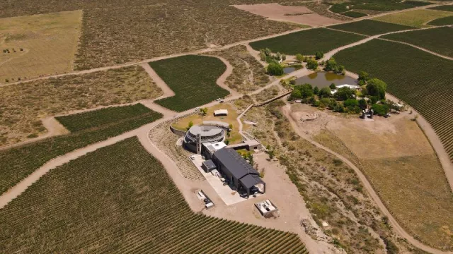 Huentala Wines, pionera en el uso de IA para viticultura de precisión en Argentina