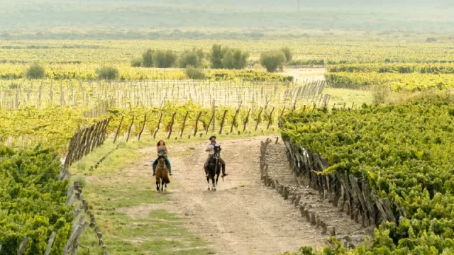 Rosell Boher se prepara para el verano: nuevas experiencias y novedades llegan para estas vacaciones