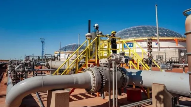 Vaca Muerta proyecta una producción de un millón de barriles diarios para 2030