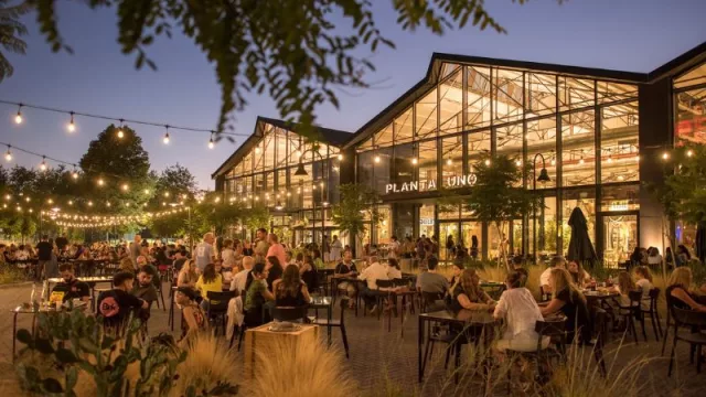 Diciembre en Planta Uno: gastronomía, arte y diseño se fusionan en época de fiestas