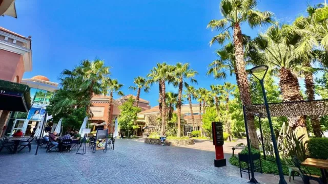 Navidad en Palmares: grandes descuentos y los mejores regalos para toda la familia