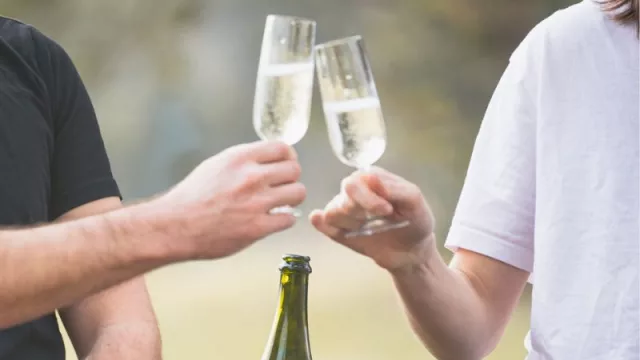 Llega el brindis de las Fiestas y lo que no pueden faltar son las burbujas: mirá estos espumantes para despedir el año