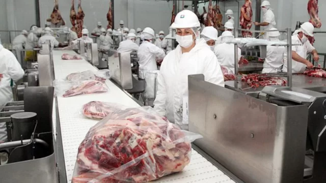 Mendoza  consolida la ganadería en el 2024