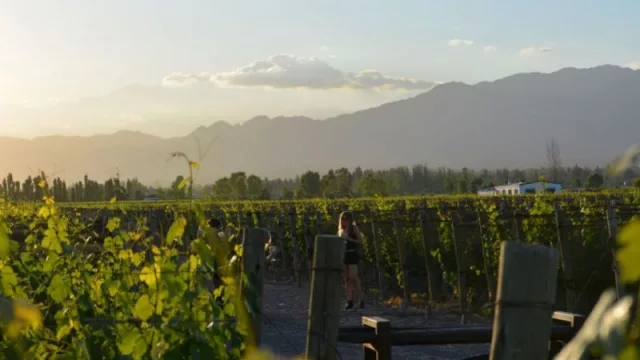 Viamonte Winery Lodge, la bodega reconocida por sus sunsets abre la posibilidad de un alojamiento de lujo