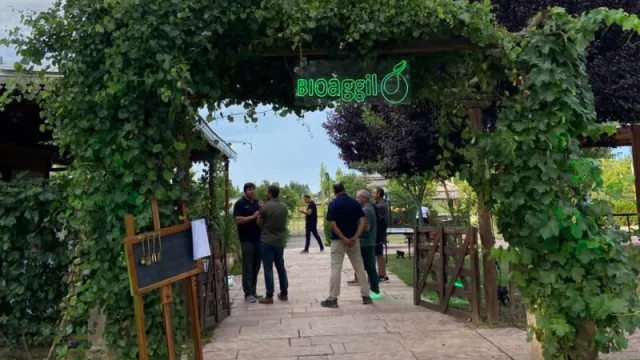 El Valle de Uco dio la bienvenida a la Campaña de Ajo 2025