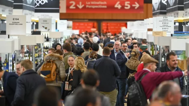 Wines of Argentina marca récord de participación de bodegas en Wine Paris 2025