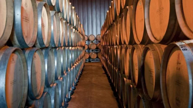 Maratón de vinerías por la Ciudad de Mendoza