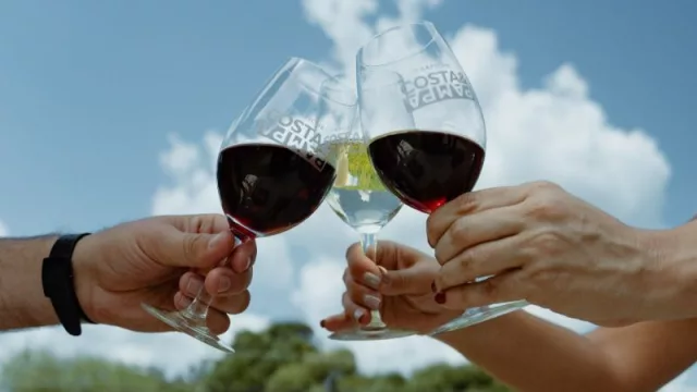 Trapiche Costa & Pampa obtiene una certificación por sus prácticas sustentables