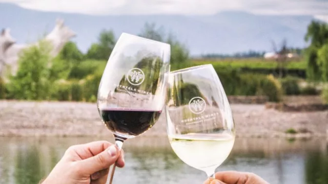 Vendimia en el Km 0 de Mendoza: Experiencia “Manos a la obra” en la bodega urbana de Huentala Wines