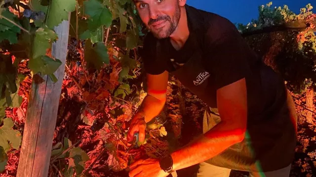 Antigal celebra la Vendimia con su programa de Cosecha Nocturna