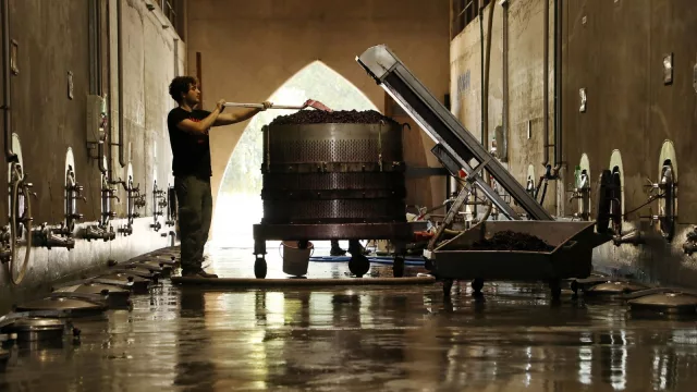 Se presentó la primera calculadora de gases de efecto invernadero para bodegas de Latinoamérica