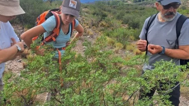 Mendoza pone en marcha un Banco de Semillas para conservar la flora nativa