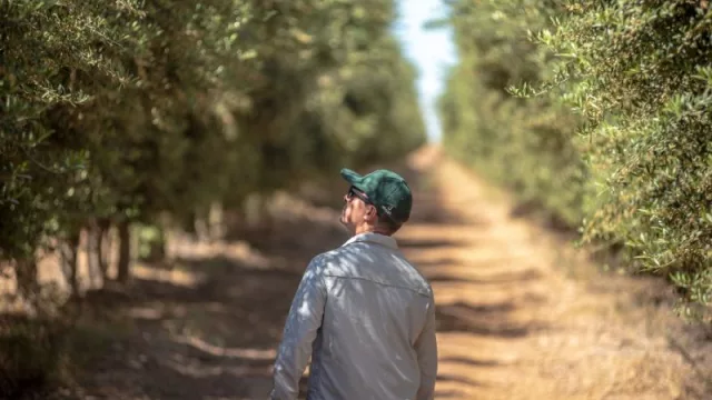 La nutrición vegetal como factor central para lograr mejores rendimientos de los cultivos