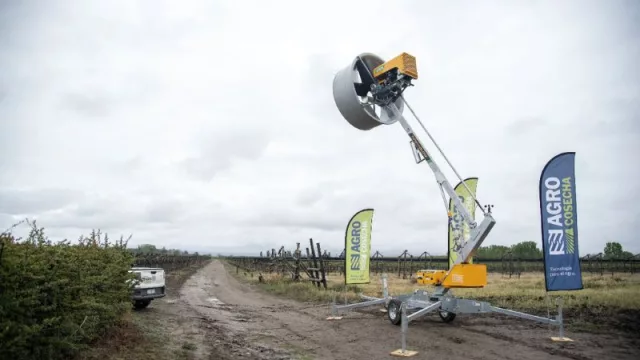 Cuál es la tecnología de las empresas exitosas que reduce 20% de costos (y aumenta 25% la productividad)