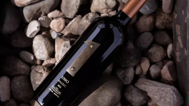 Aromas de la historia: Antigal rinde homenaje al Malbec con una vertical inolvidable