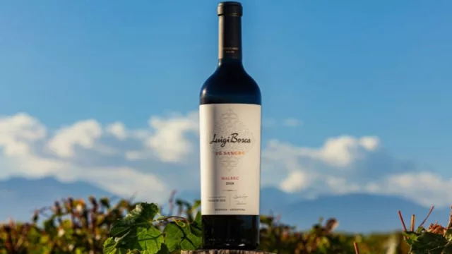 Día Mundial del Malbec: una variedad redefinida por Luigi Bosca desde 1901