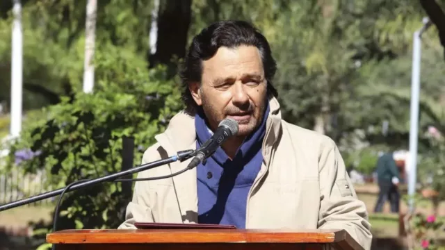 Este domingo, elecciones legislativas en Salta: ¿sabés qué modelo económico propone cada fuerza política? (en esta nota te lo contamos)