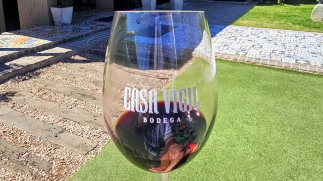 Disfrutar del vino en Mendoza: el bus vitivinícola congeló sus precios y se viene la noche de las vinerías