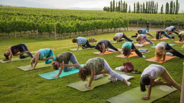 Yoga por los Caminos del Vino despide mayo con dos encuentros