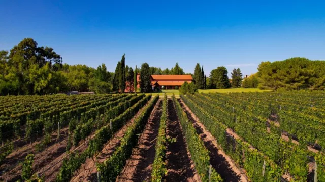 Calidad y conciencia ambiental: así reduce Fabre Montmayou su huella ambiental en la vitivinicultura