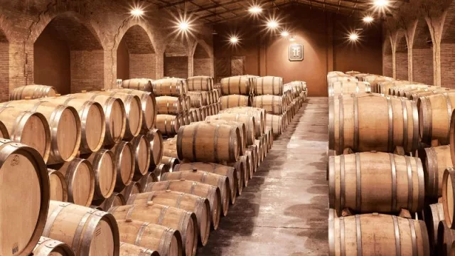 El INV fija los grados alcohólicos mínimos para los vinos de la Cosecha 2025 en Mendoza y San Juan