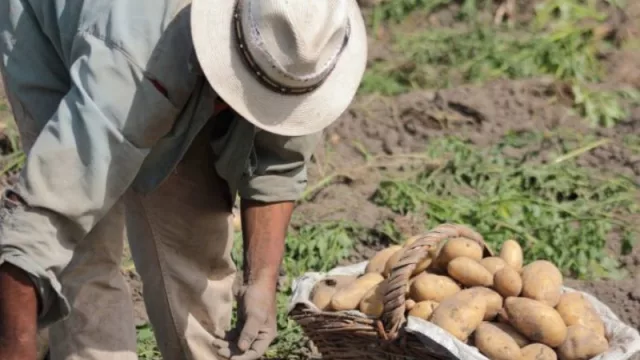 Mendoza destina más de $ 170 millones para sostener el empleo rural tras las inclemencias climáticas