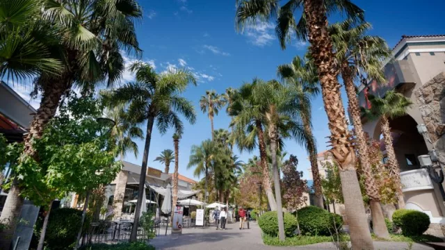 Palmares tiene lo mejor para elegir en este Día del Padre