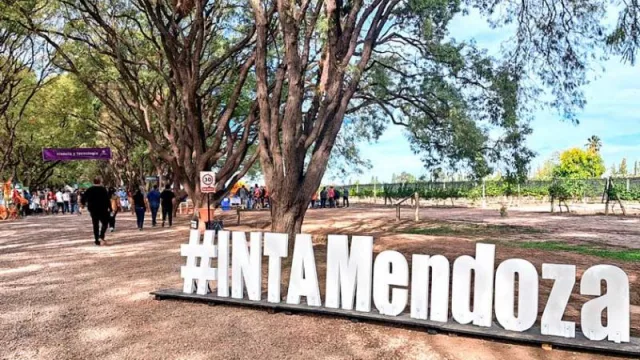Preocupación en Mendoza por la reestructuración del INTA: productores y cámaras empresariales piden consenso y preservación del capital humano