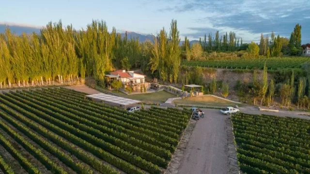 Finca Bandini suma dos extraordinarios Cabernet de Las Compuertas a su  línea ìcono Magno Corpore