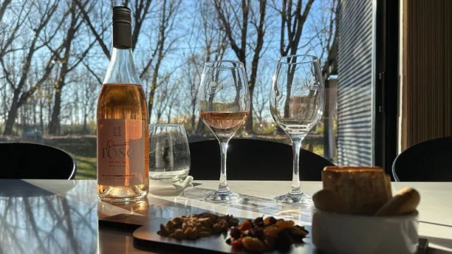 Día Internacional del Vino Rosado: los secretos de la producción argentina que conquista paladares exigentes en Corea del Sur, Alemania y EE. UU.