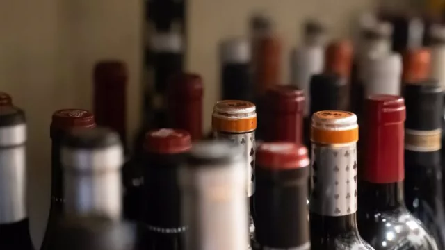 Mendoza entrena a bodegas con simulacros exigentes para mejorar su competitividad exportadora