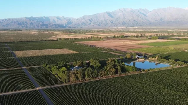 Bodega Antucura presenta nuevas añadas y un renovado diseño de las etiquetas de sus líneas Single Vineyard y Blends